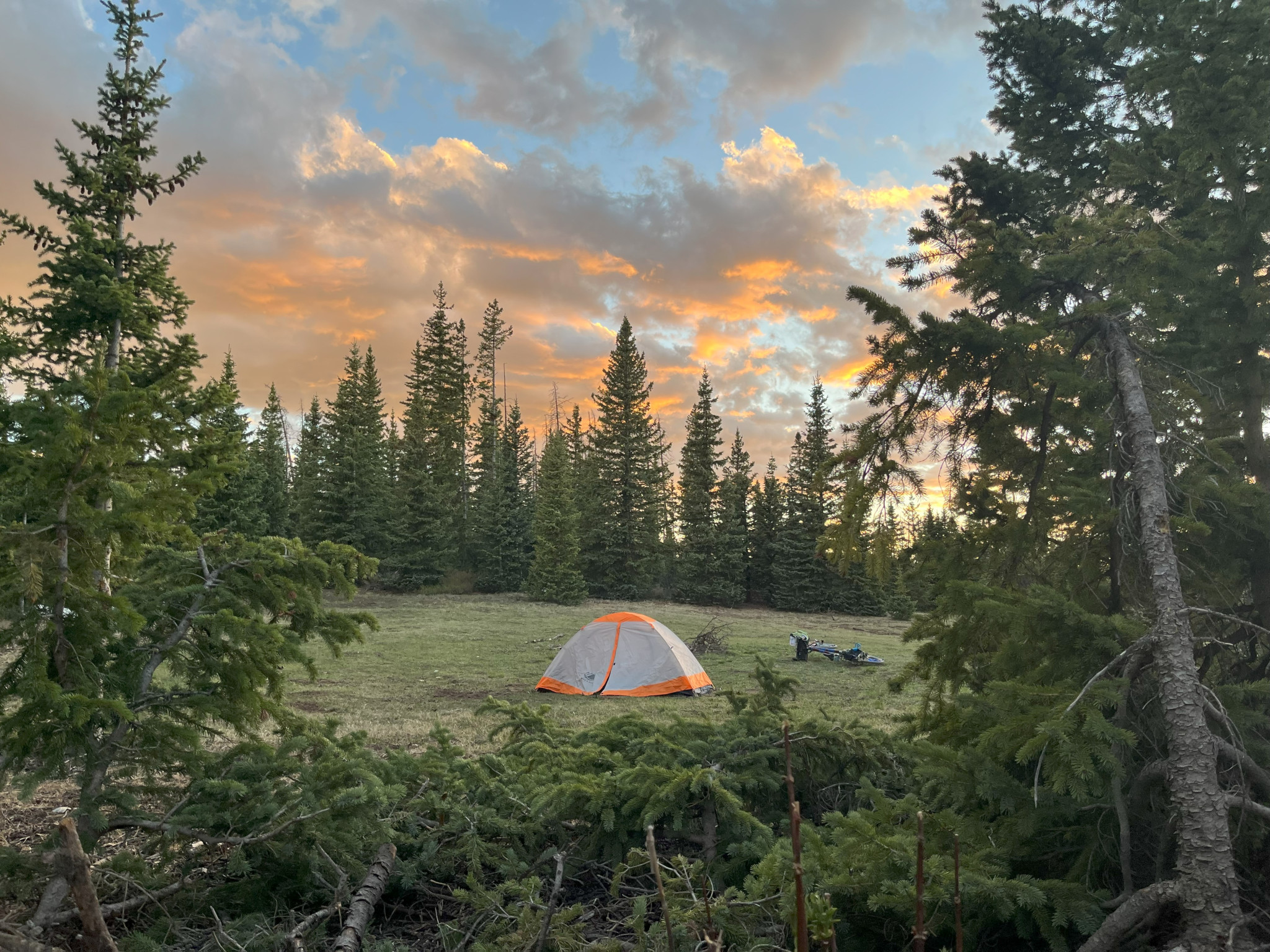 High Altitude Camping near Grayback Mountain