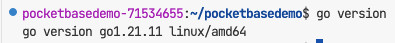 Screenshot showing output of "go version" which indicates go version is 1.21