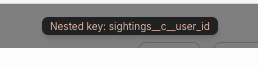 Screenshot of nested key